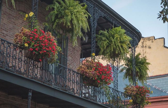 New Orleans Jazz Tour - Photo 17